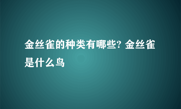 金丝雀的种类有哪些? 金丝雀是什么鸟