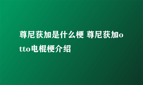 尊尼获加是什么梗 尊尼获加otto电棍梗介绍