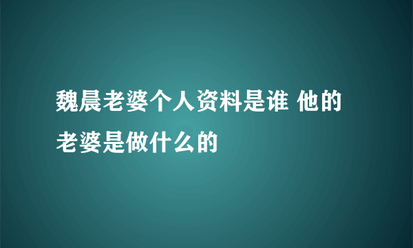 魏晨老婆个人资料是谁 他的老婆是做什么的