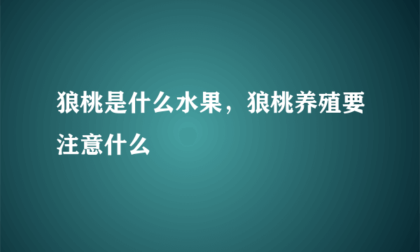 狼桃是什么水果，狼桃养殖要注意什么