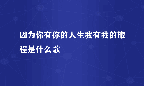 因为你有你的人生我有我的旅程是什么歌