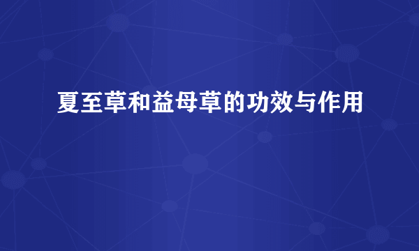 夏至草和益母草的功效与作用