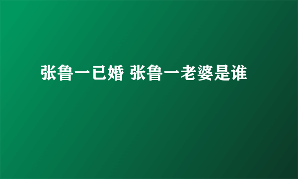 张鲁一已婚 张鲁一老婆是谁