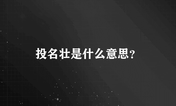 投名壮是什么意思？