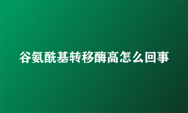 谷氨酰基转移酶高怎么回事