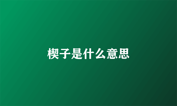 楔子是什么意思