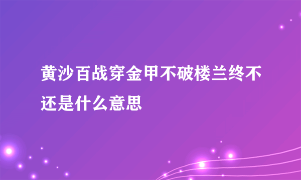 黄沙百战穿金甲不破楼兰终不还是什么意思