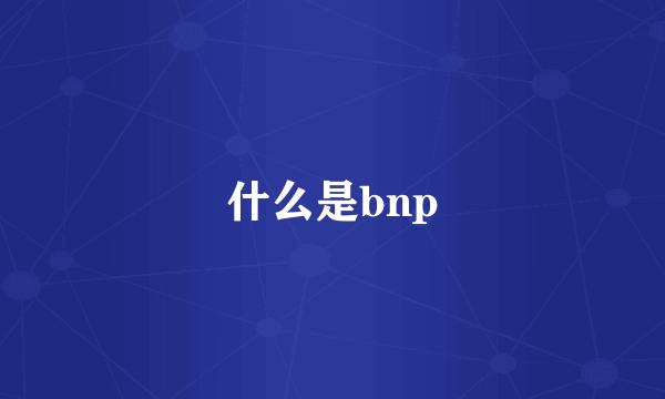 什么是bnp