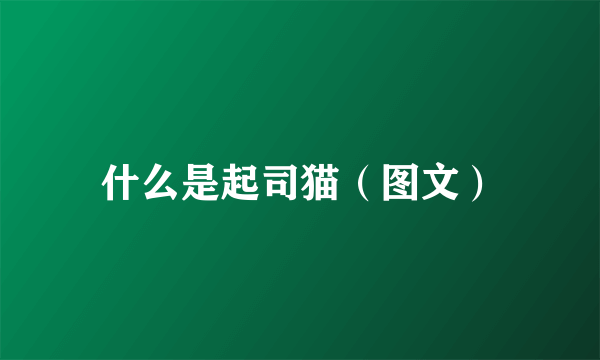 什么是起司猫（图文）