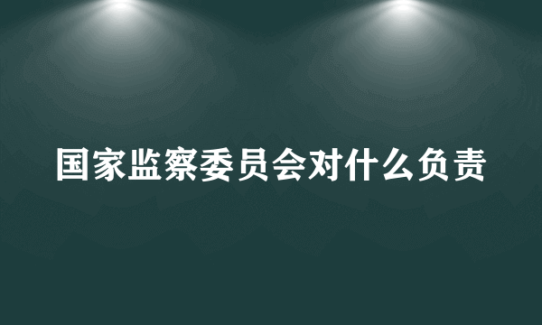 国家监察委员会对什么负责