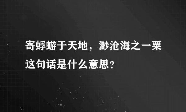 寄蜉蝣于天地，渺沧海之一粟这句话是什么意思？