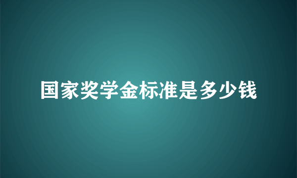 国家奖学金标准是多少钱