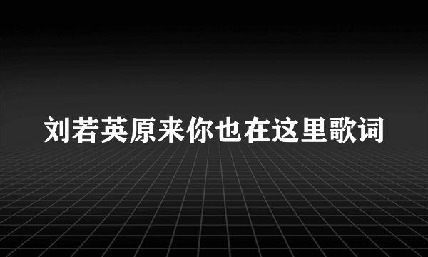 刘若英原来你也在这里歌词