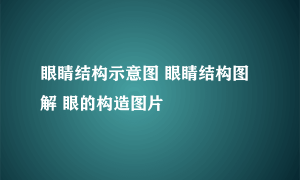 眼睛结构示意图 眼睛结构图解 眼的构造图片