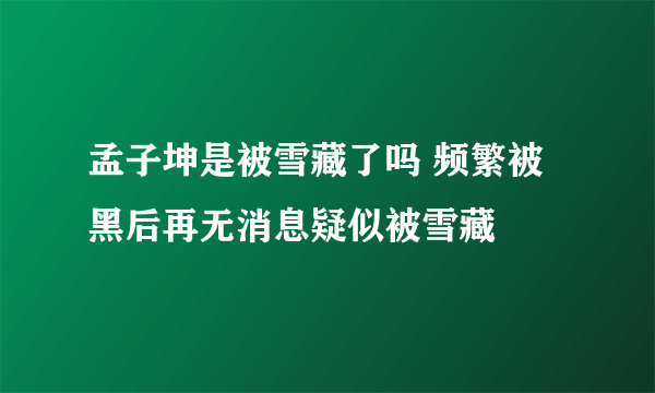 孟子坤是被雪藏了吗 频繁被黑后再无消息疑似被雪藏