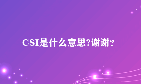 CSI是什么意思?谢谢？