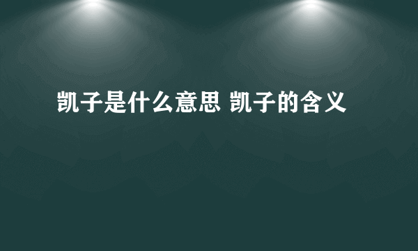 凯子是什么意思 凯子的含义