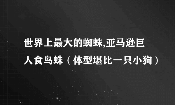 世界上最大的蜘蛛,亚马逊巨人食鸟蛛（体型堪比一只小狗）