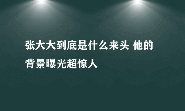 张大大到底是什么来头 他的背景曝光超惊人