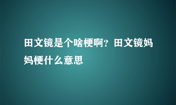 田文镜是个啥梗啊？田文镜妈妈梗什么意思