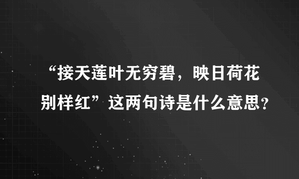 “接天莲叶无穷碧，映日荷花别样红”这两句诗是什么意思？