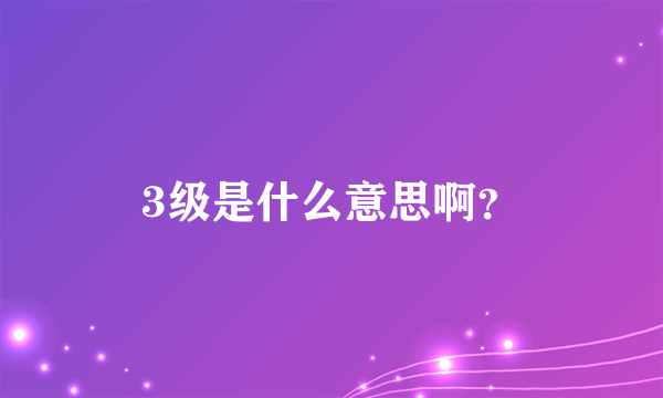 3级是什么意思啊？