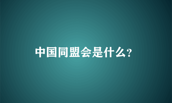 中国同盟会是什么？