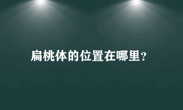 扁桃体的位置在哪里？