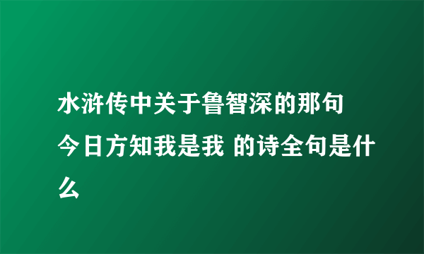 水浒传中关于鲁智深的那句 今日方知我是我 的诗全句是什么