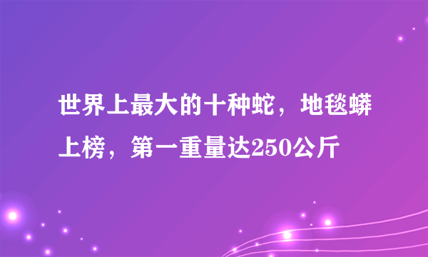 世界上最大的十种蛇，地毯蟒上榜，第一重量达250公斤