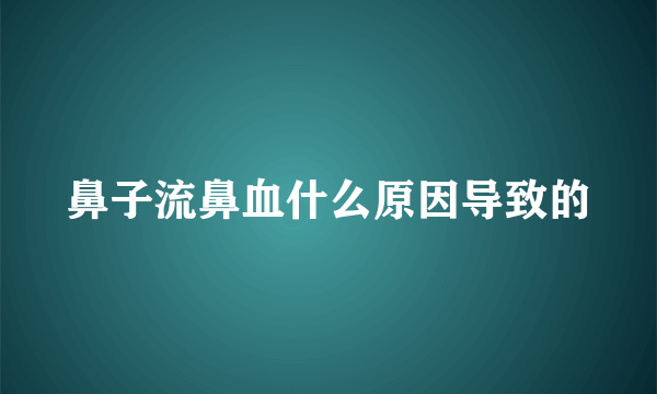 鼻子流鼻血什么原因导致的