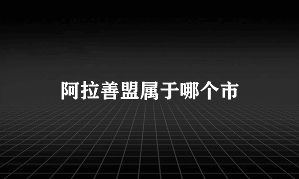 阿拉善盟属于哪个市