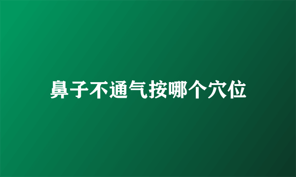 鼻子不通气按哪个穴位