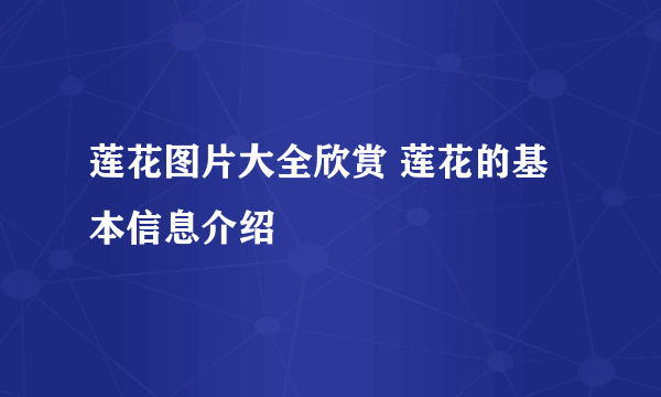 莲花图片大全欣赏 莲花的基本信息介绍