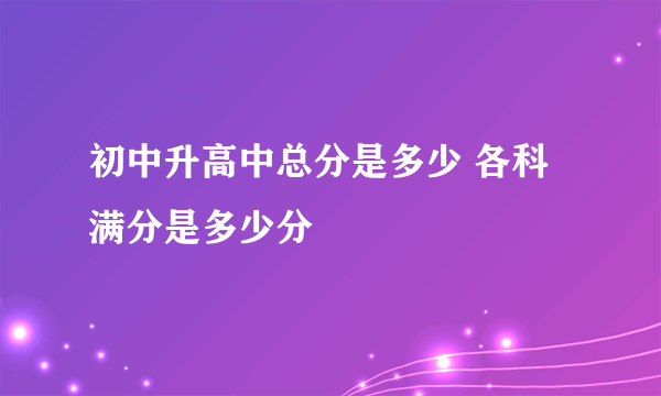 初中升高中总分是多少 各科满分是多少分