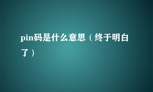 pin码是什么意思（终于明白了）