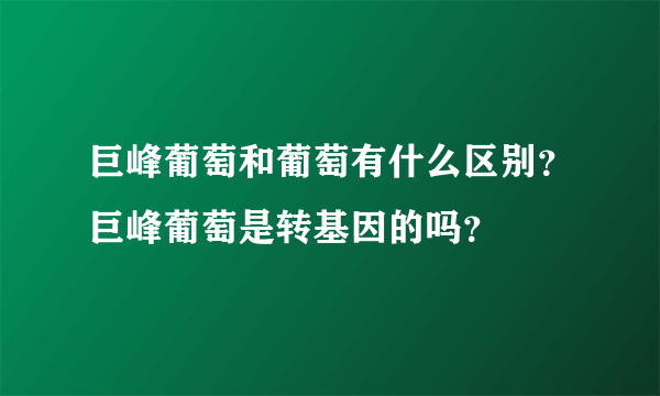 巨峰葡萄和葡萄有什么区别？巨峰葡萄是转基因的吗？