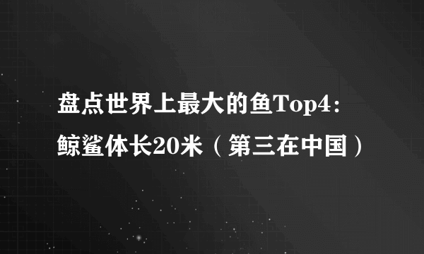 盘点世界上最大的鱼Top4：鲸鲨体长20米（第三在中国）