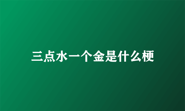 三点水一个金是什么梗