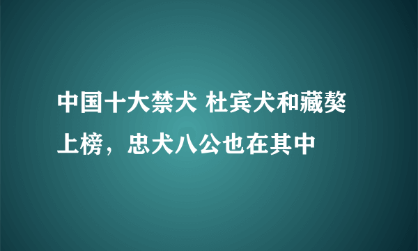 中国十大禁犬 杜宾犬和藏獒上榜，忠犬八公也在其中