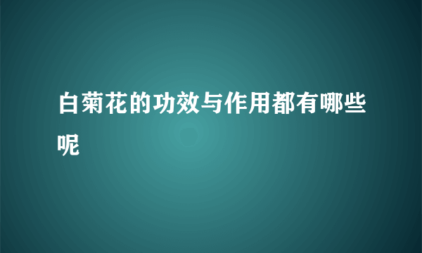 白菊花的功效与作用都有哪些呢