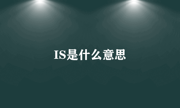 IS是什么意思