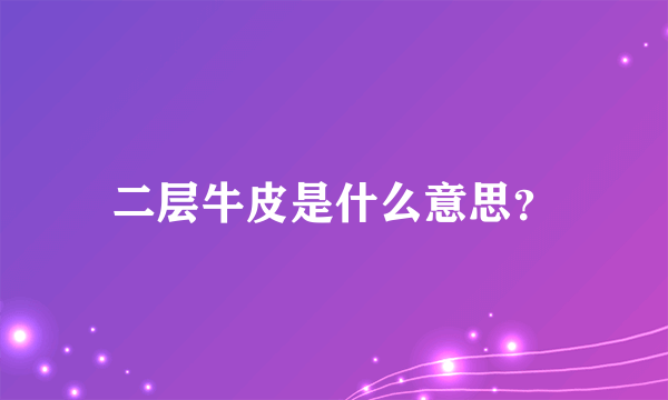 二层牛皮是什么意思？