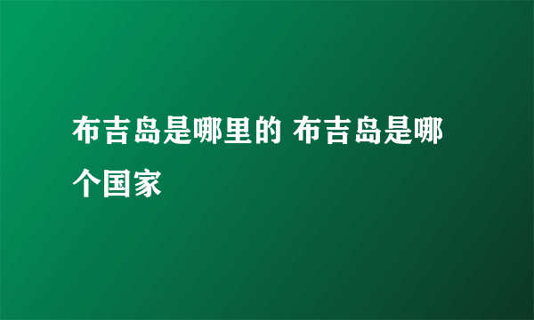 布吉岛是哪里的 布吉岛是哪个国家