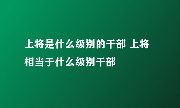 上将是什么级别的干部 上将相当于什么级别干部