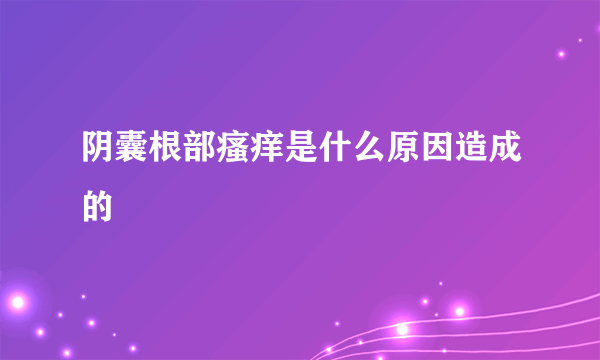 阴囊根部瘙痒是什么原因造成的