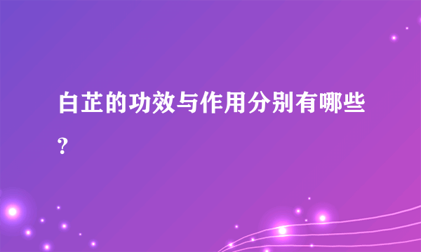 白芷的功效与作用分别有哪些？