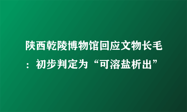 陕西乾陵博物馆回应文物长毛：初步判定为“可溶盐析出”