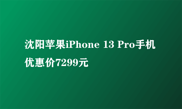 沈阳苹果iPhone 13 Pro手机优惠价7299元