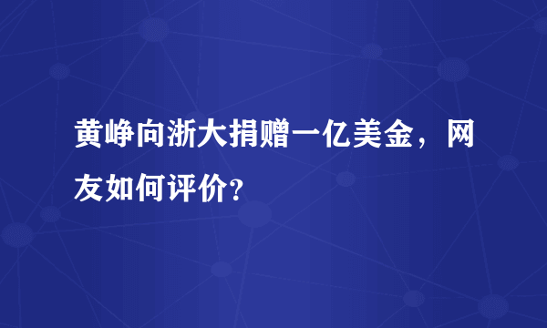 黄峥向浙大捐赠一亿美金，网友如何评价？